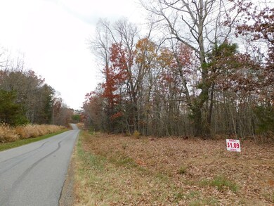 31.09 Ac Brights Rd, Gretna, VA 24557 - photo 4