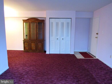 824 South Ave unit P1, Secane, PA 19018 - photo 7