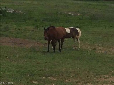 4933 Pisgah Covered Bridge Rd, Asheboro, NC 27205 - photo 7