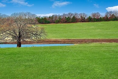 1771 Brumelow Rd, Whitesboro, TX 76273 - photo 6