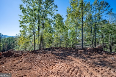 3887 Hwy 140 NE, Rydal, GA 30171 - photo 6