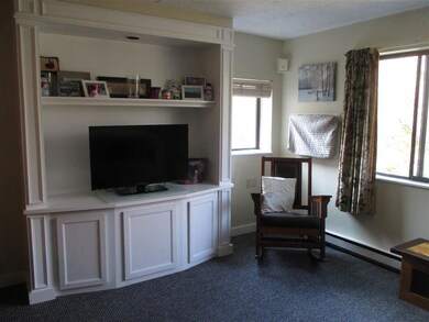 23 Black Bear Way unit 411, Waterville Valley, NH 03215 - photo 7