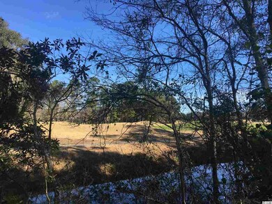 View from lot of Golf Course