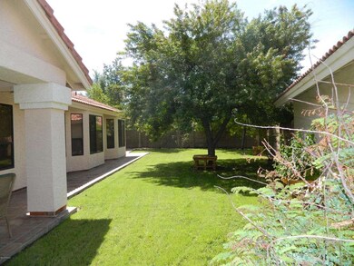 Beautiful Landscaping