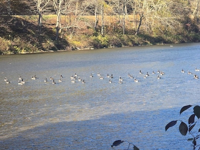 0WP Harvard Rd unit LotWP001, Hancock, NY 13756 - photo 6