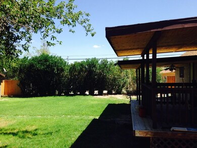 Beautiful Back Yard