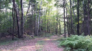 840 Kinsman Rd, Grafton, NH 03240 - photo 5