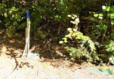 22212 Bluewater Dr SE, Yelm, WA 98597 - photo 7