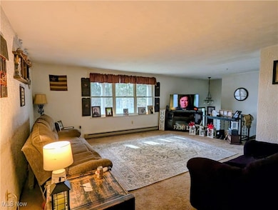 12014 Sprucevale Rd, East Liverpool, OH 43920 - photo 2