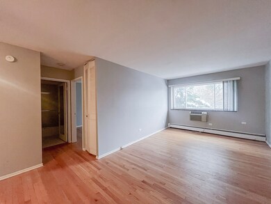 736 W Buena Ave unit 402, Chicago, IL 60613 - photo 2