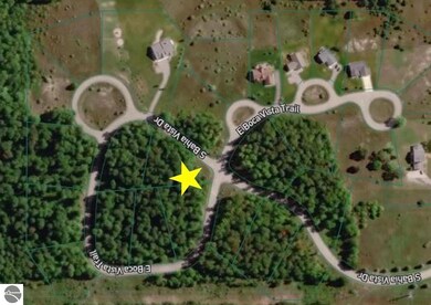 13564 S Bahia Vista Dr, Traverse City, MI 49684 - photo 7