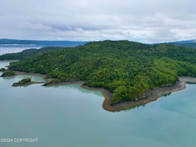 L2B Bear Cove, Homer, AK 99603 - photo 6