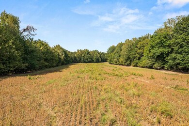 0 Osborntown Rd unit 10208347, Unincorporated, TN 38002 - photo 5