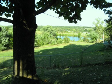 from backyard