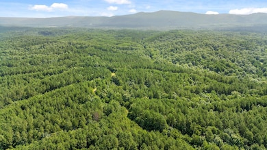 Tract 3 Conniston Rd, Chatsworth, GA 30705 - photo 4