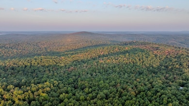 0 Annapolis Rd unit 24777060, Annapolis, MO 63620 - photo 3