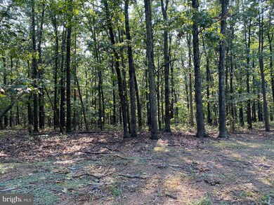 0 Whiskey Still Rd, Berkeley Springs, WV 25411 - photo 7