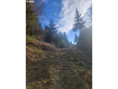 0 Pleasant Valley Rd unit 22531177, Myrtle Point, OR 97458 - photo 5