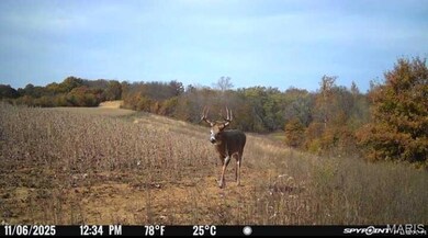 0 Knox Rd, Marceline, MO 64658 - photo 4