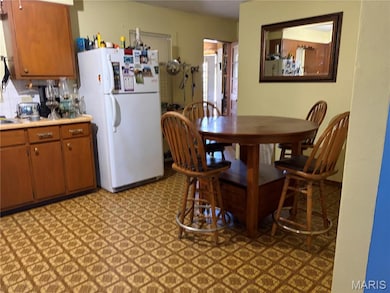 701 S Benton St, Cape Girardeau, MO 63703 - photo 5