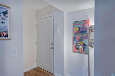 1213 Villa Ln unit E, Charlottesville, VA 22903 - photo 4