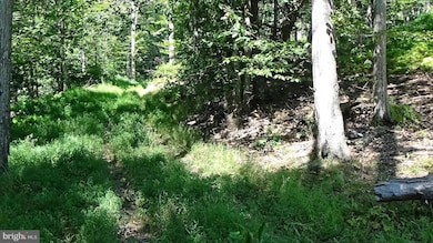 0 Veterans Way unit PAPY2008088, Elliottsburg, PA 17024 - photo 5