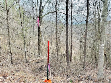 48 Ranches at Hickory Ridge, Dover, TN 37058 - photo 7