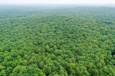 00 Moore Mountain Rd, Pittsboro, NC 27312 - photo 7