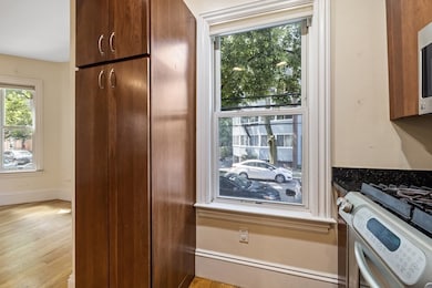 515 Green St unit 2, Cambridge, MA 02139 - photo 7