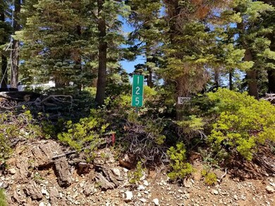 320 S Lichen Ln unit ZVME D-125, Duck Creek Village, UT 84762 - photo 4