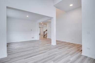 205 Tinana St, Oswego, IL 60543 - photo 3