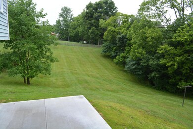 View from Patio