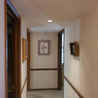 1537 Maple Place, Schererville, IN 46375 - photo 7