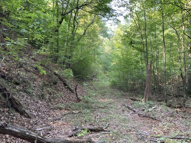 0 Old Hwy 20 unit 2075752, Lobelville, TN 37097 - photo 6