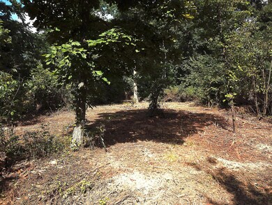 0 Dean Rd unit 225032132, Ostrander, OH 43061 - photo 5