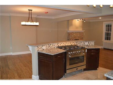 Kitchen. A view over the professional gas range to