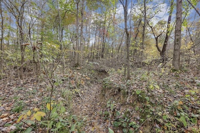 0 Clay Hill Rd, Logan, OH 43138 - photo 5