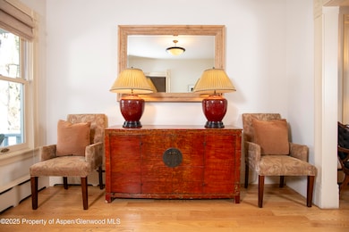 715 W Smuggler St, Aspen, CO 81611 - photo 4