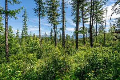 227 Chief Cliff Trail, Bigfork, MT 59911 - photo 6