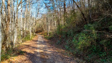 300 River Mist Ln, Franklin, NC 28734 - photo 5