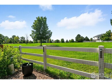 Perfect place to play with the kids or dogs