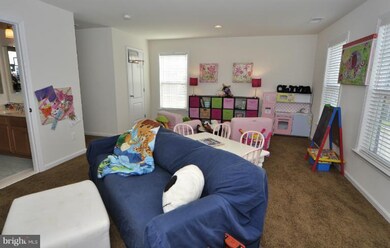 25030 Graywacke Dr, Stone Ridge, VA 20105 - photo 3