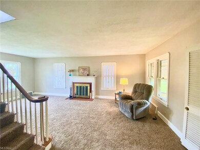 Brand New carpet April 2021 in Living Room, Dining