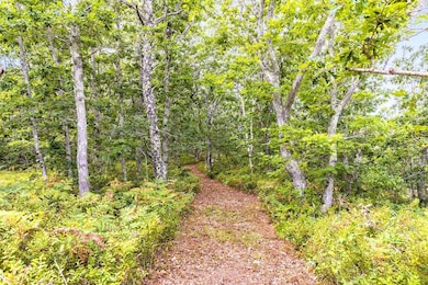 35A Higgins Hollow Rd, Truro, MA 02666 - photo 6