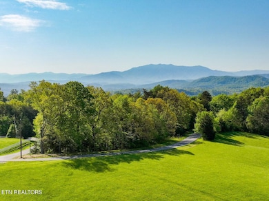 1140 Crestview Dr, Pigeon Forge, TN 37863 - photo 4