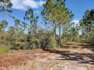 0 County Line Rd unit 18882882, Lee, FL 32059 - photo 5