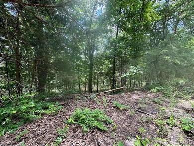 TBD Bluebird Ln, Rolla, MO 65401 - photo 3