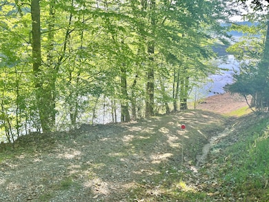 1474 Old Chisholm Trail, Dandridge, TN 37725 - photo 6