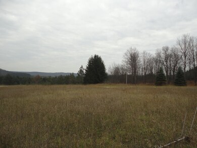 7807 Reynolds Rd, Elmira, MI 49730 - photo 7