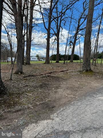 0 Tanglewood Dr unit WVHD2000748, Old Fields, WV 26845 - photo 4